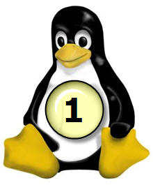 10 adımda Linux