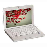 Datron'un netbook'u Mobee k�p�r k�p�r