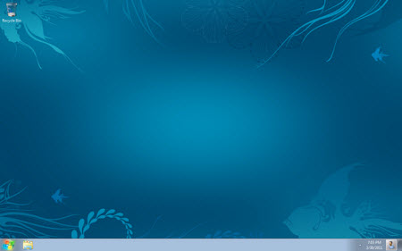 Windows 8