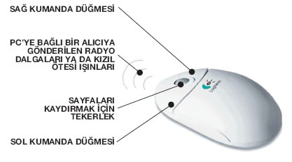 Kablosuz ve Optik Fareler