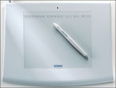 Bilgi: Sadece Özel Durumlar İçin