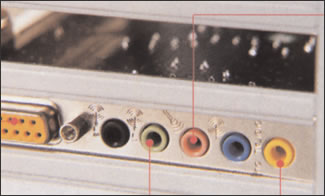 Seslerini Dinleyelim