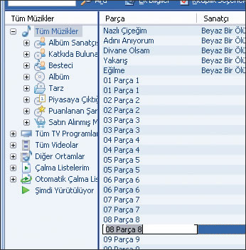 Şarkı İsimlerini Düzenlemek