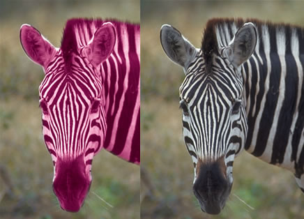 Bilgisayarda Çizim ve Özel Efektler