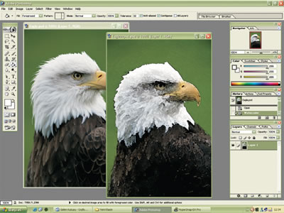 Rötuş ve Filtreler