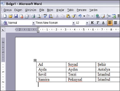 Sıralama ve Düzenleme