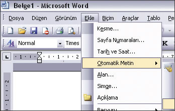 Otomatik Metin Özelliğini Kullanmak