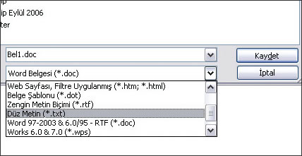Word Dosyasının Formatını Değiştirmek