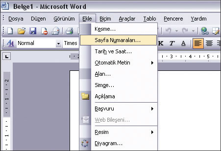 Word'de Sayfalara Numara Vermek