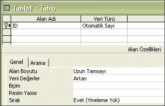 Randevular Tablosu Hazırlamak