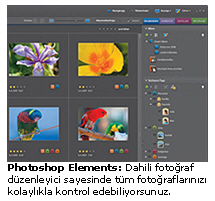 Photoshop Elements 6.0
