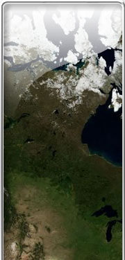 Kuzey Amerika: Güvenlik