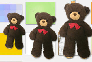 Picasa Teddy Bears