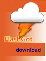 Firefox ile FlashGet'i kullanmak