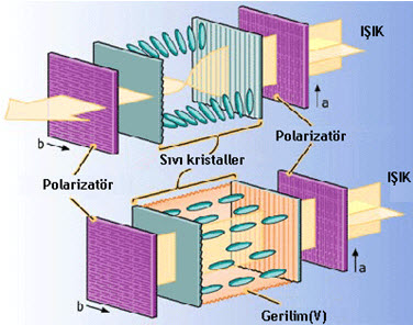 LCD(Liquid Crystal Display)