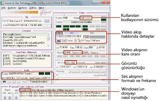 Video analiz araçları