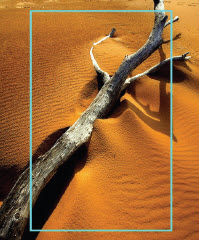 Fokal çarpan faktörü