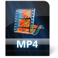Dosya türleri: AVI, MPEG...