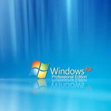 download internet explorer 7 for window xp