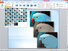 PowerPoint 2010: Videolarla daha hareketli