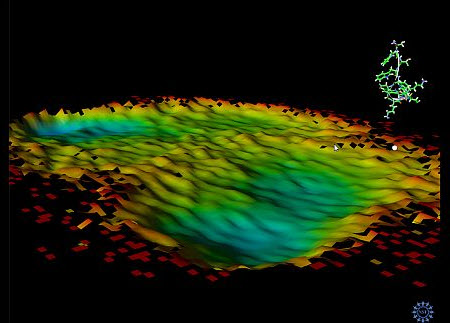 National Science Foundation Screensaver