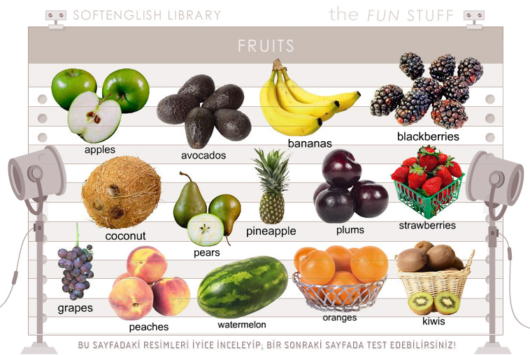 Teknik Özellikleri ve Abonelik