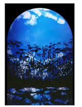 İşte şaşırtıcı fotoğraflar...