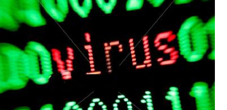 Zararlının belirtileri