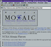 Windows 3.1 ve Mosaic