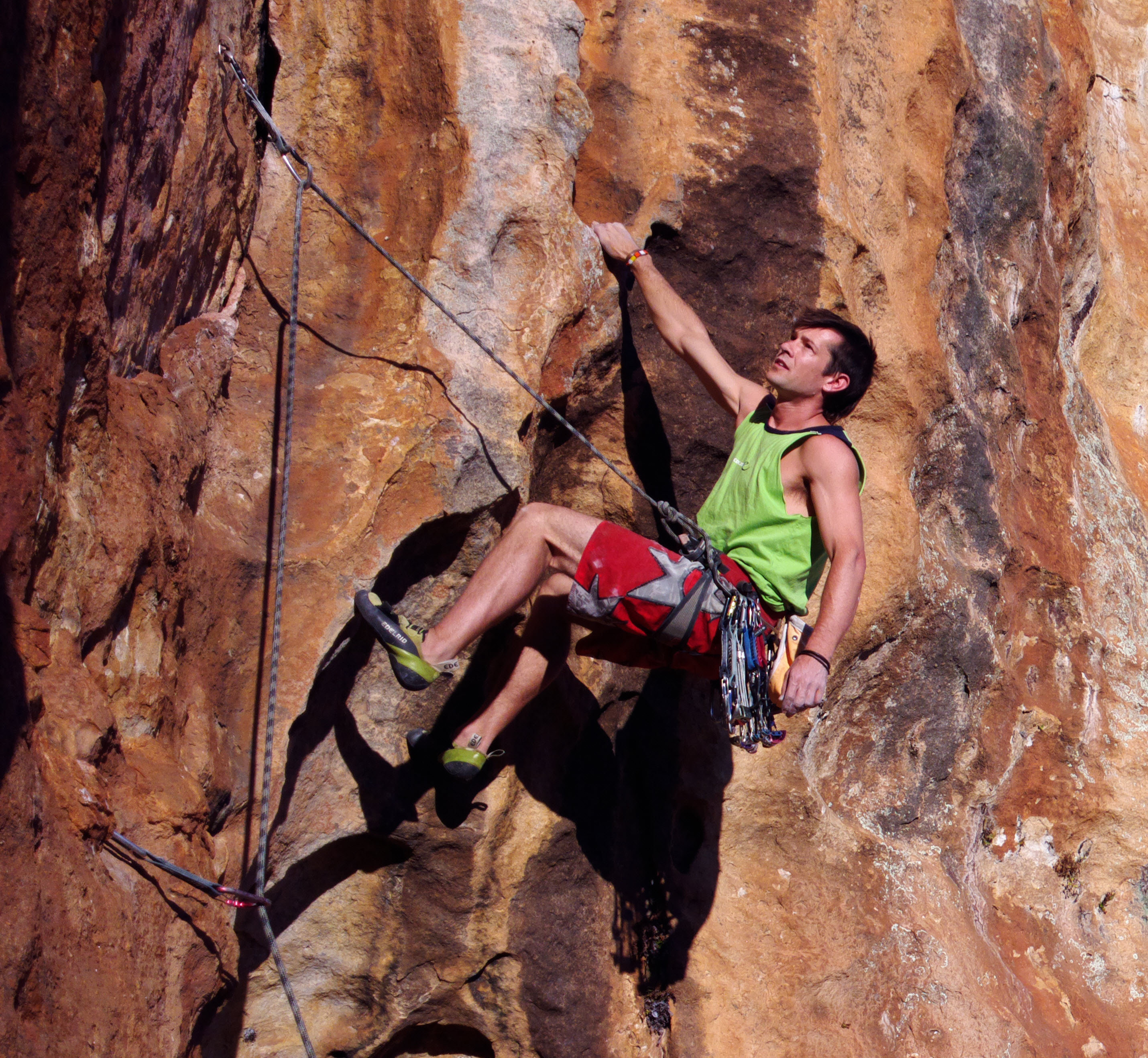 Fotoğrafın yakından görünümü ve fazlası
