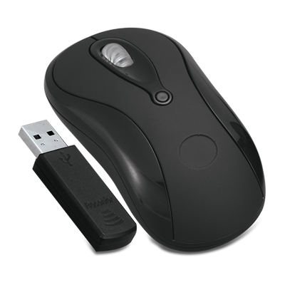 Artık kuyruksuz olma yolundalar