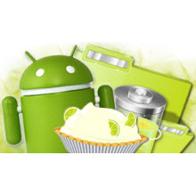 Neler görmeyi umuyoruz?