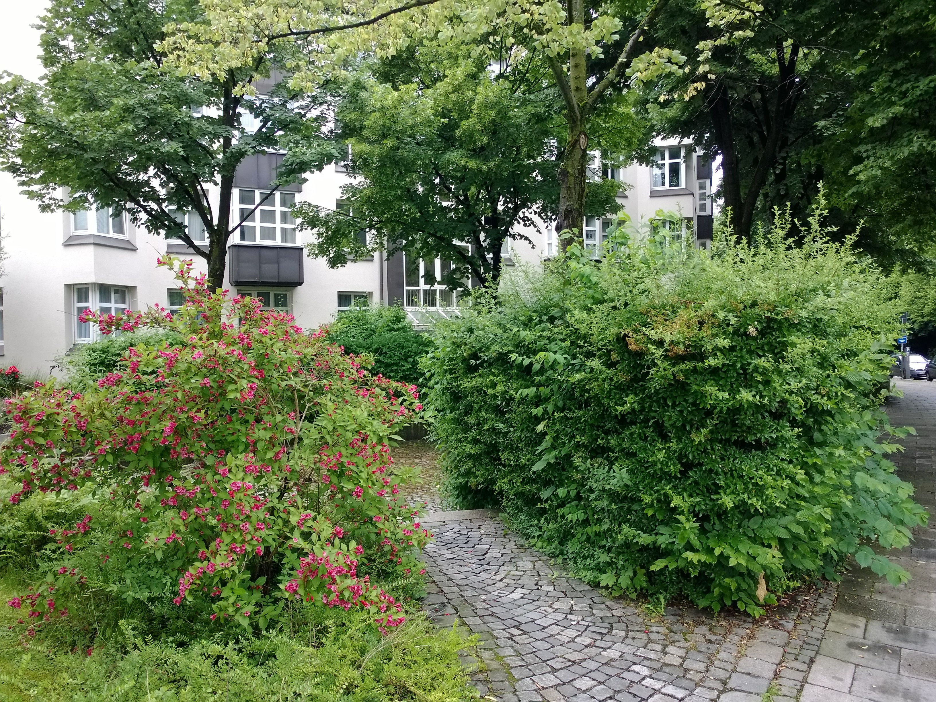 Kamera ve uygulamalar