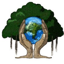 Yaklaşık 2016 ağacın kesilmesi önlendi!