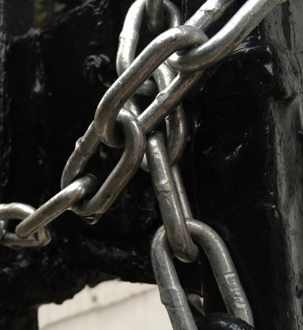 Parlak ortamlar son derece keskin ve net görünüyor