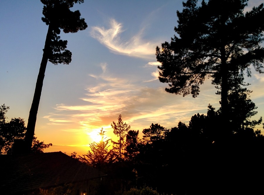 LG Nexus 5 kapsamlı testte!