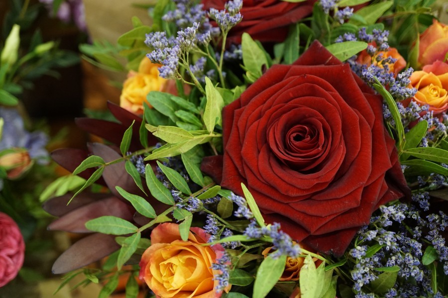 Sony a5000 kompakt kamera incelemede!