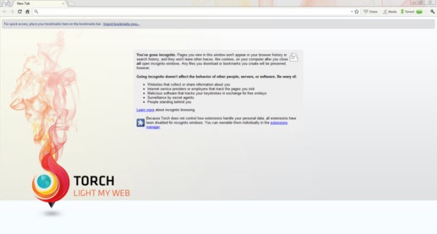 Çokluortam uzmanı: Torch Browser
