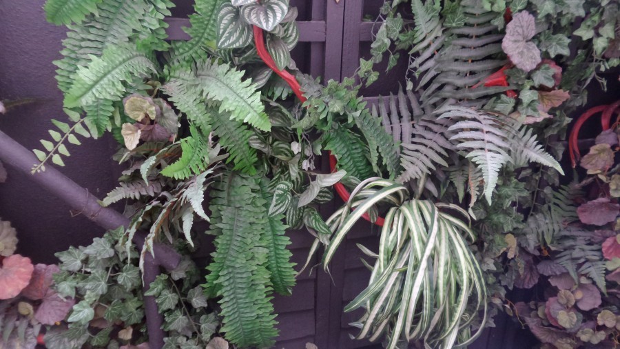 Samsung Galaxy K Zoom'u denedik!