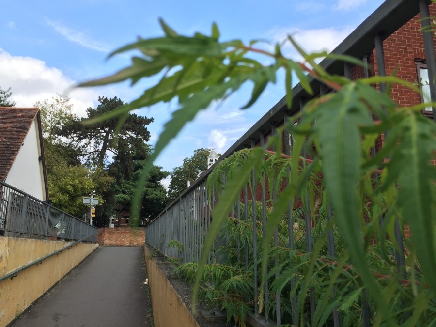 iPhone 6 Plus testte!