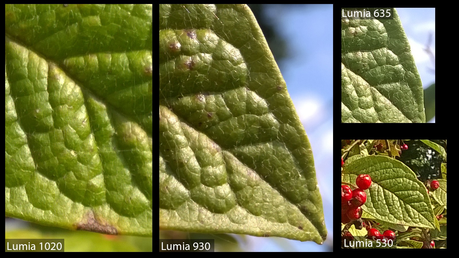 Nokia kameraları testte!