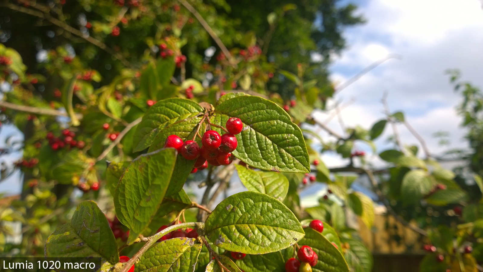 Nokia kameraları testte!