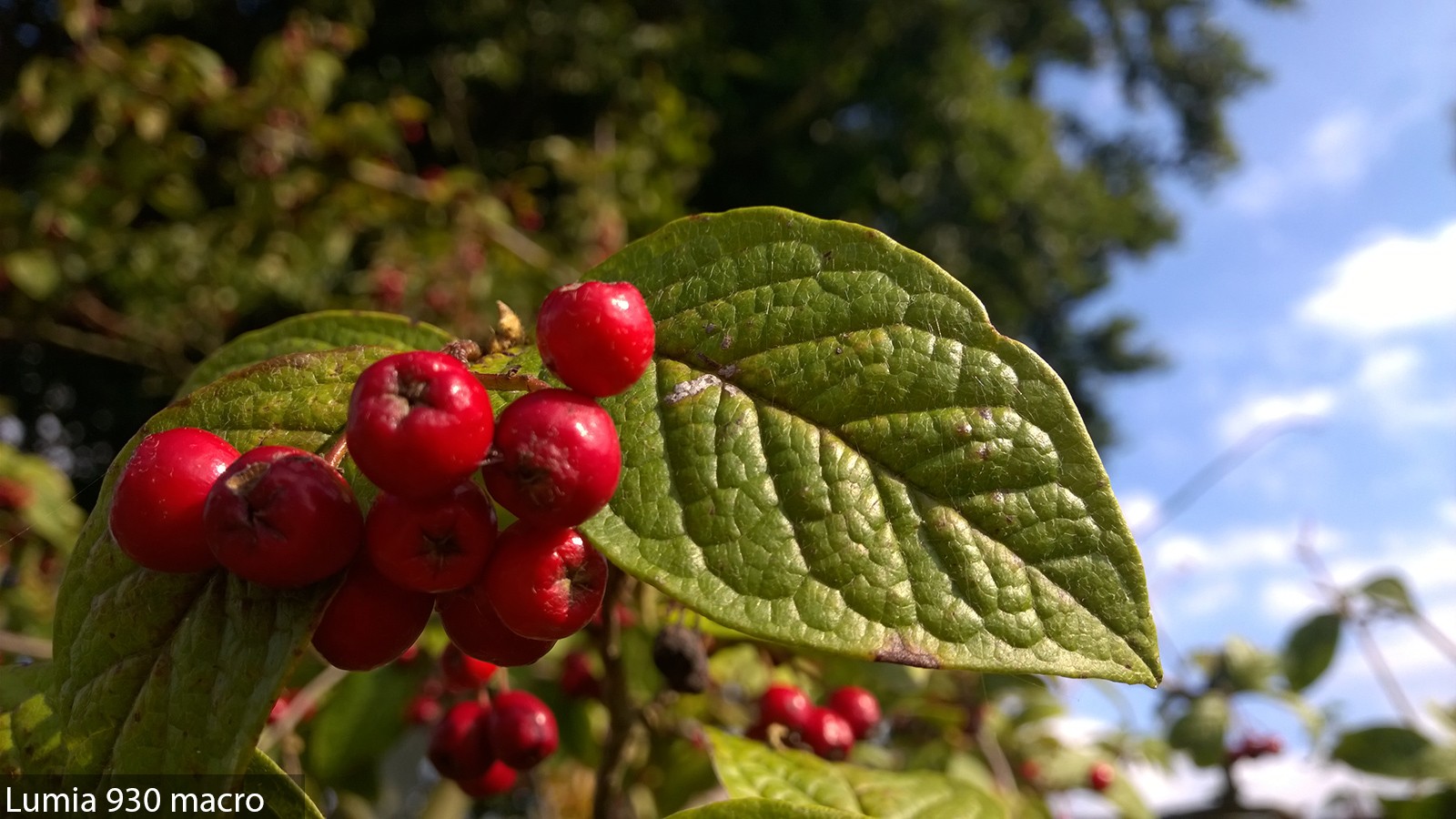Nokia kameraları testte!
