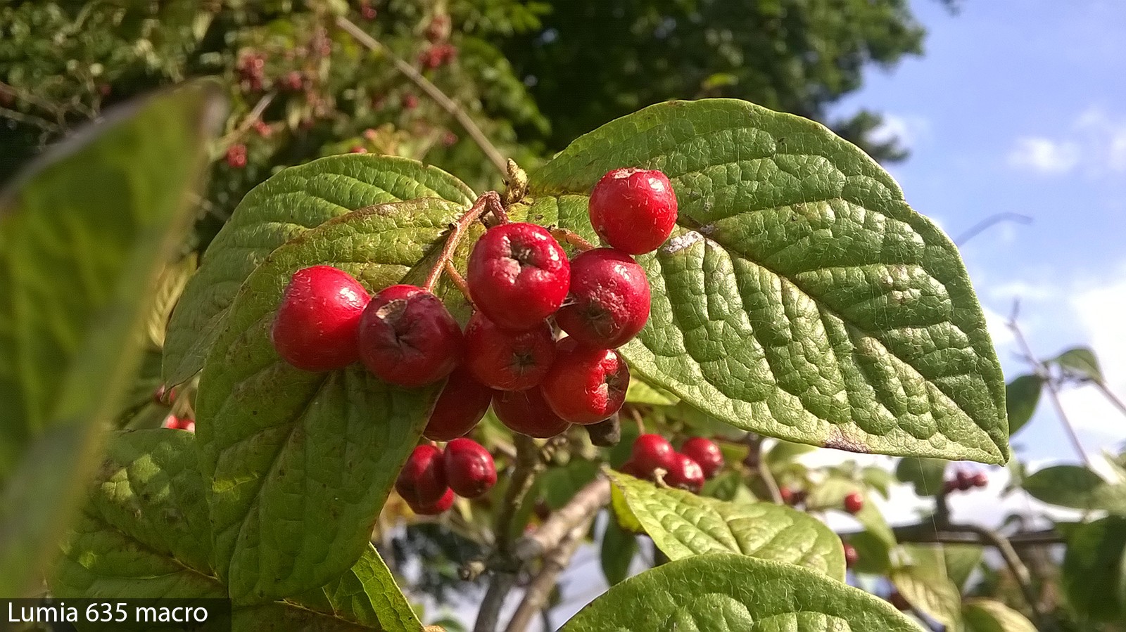 Nokia kameraları testte!