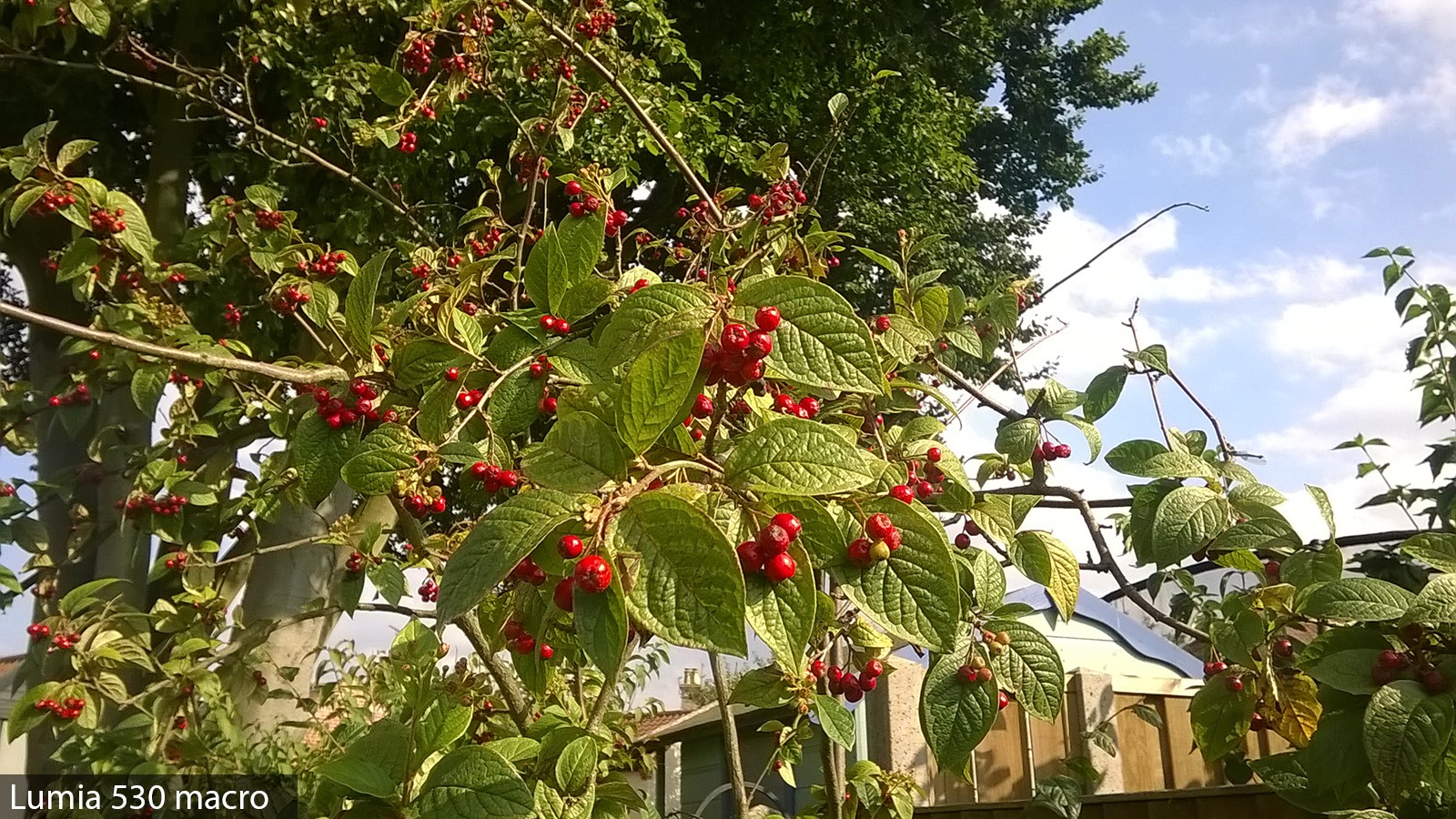 Nokia kameraları testte!