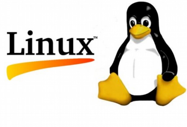 Linux Live CD/USB ile geri yükleme