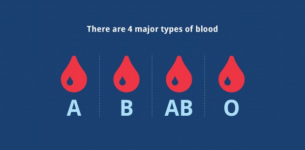 Hayvanlarda kan grupları