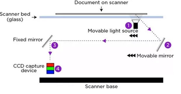 Scanner'da ayna taratırsanız ne olur?