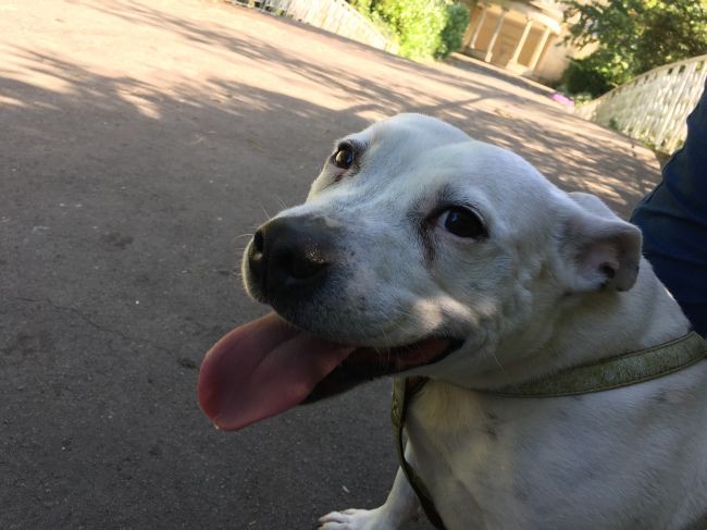 Her şey çözünürlük değil