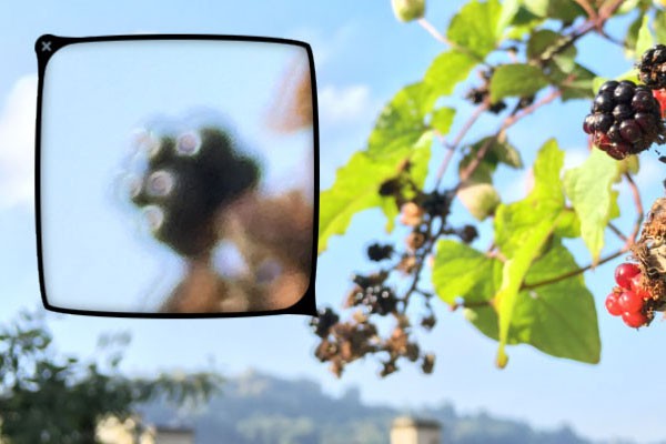 iPhone 6S Plus'ın kamerası detaylı testte!